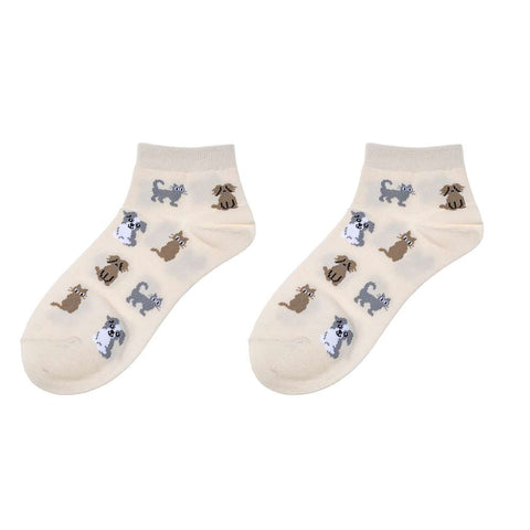 Socken - Haustier