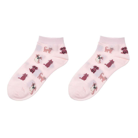 Socken - Haustier
