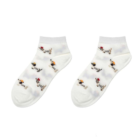 Socken - Dackel