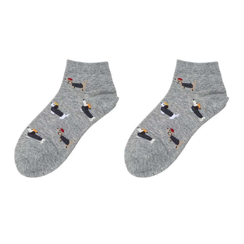 Socken - Dackel