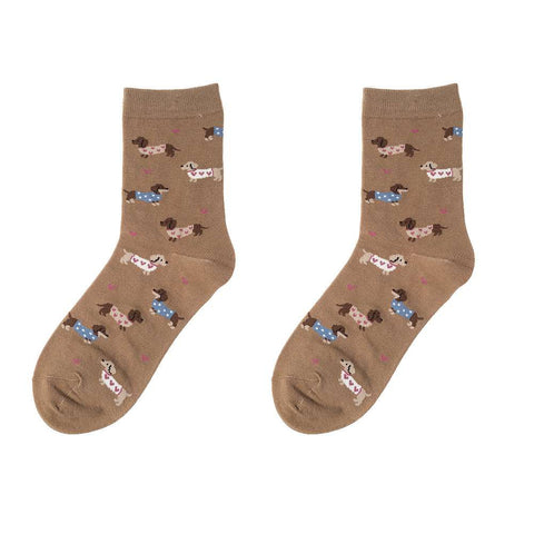 Socken - Dackel